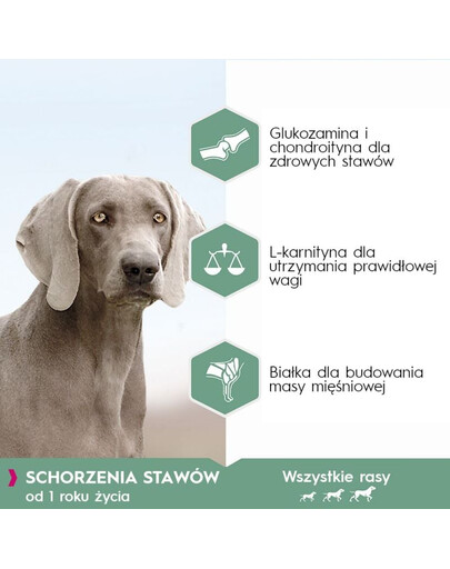 EUKANUBA Daily Care Adult Sensitive Joints - pour chiens souffrant de problèmes articulaires - 12 kg