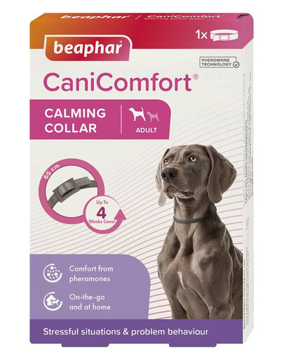 BEAPHAR CaniComfort Collier Apaisant pour Chien 65 cm collier avec phéromones pour chiens