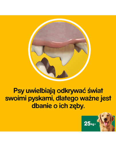 PEDIGREE DentaStix - traitement dentaire pour chiens de grandes races - 28 pièces - 4 x 270g