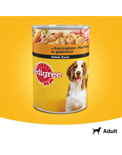 PEDIGREE avec du poulet et des carottes en gelée 400g