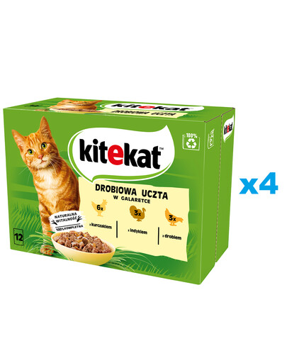 KITEKAT Festin de volaille 48x85 g Aliment complet humide pour chats adultes à base de poulet, dinde et volaille en gelée