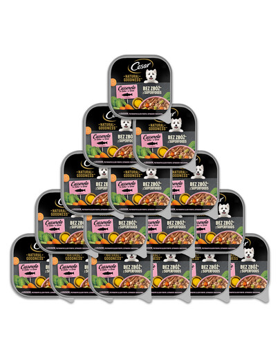 CESAR 16x100 g Aliment complet humide pour chiens adultes au saumon, enrichi en huile de poisson, épinards et carottes en sauce