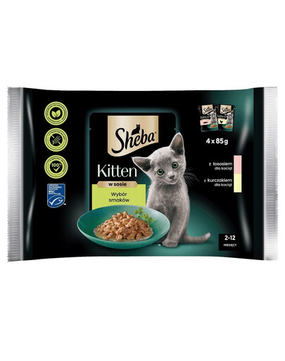 SHEBA Kitten choice of flavours 5x4x85 g d'aliment complet humide pour chaton en morceaux de sauce avec : saumon, poulet