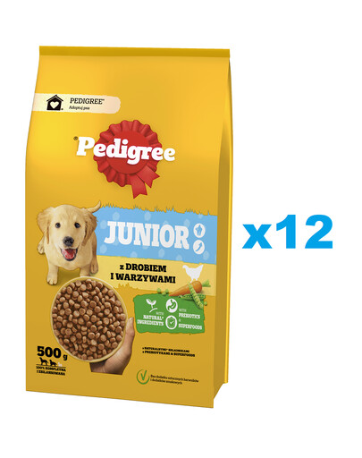 PEDIGREE Junior 12x500 g avec volaille et légumes aliment complet sec pour chiens de grande et moyenne taille en pleine croissance