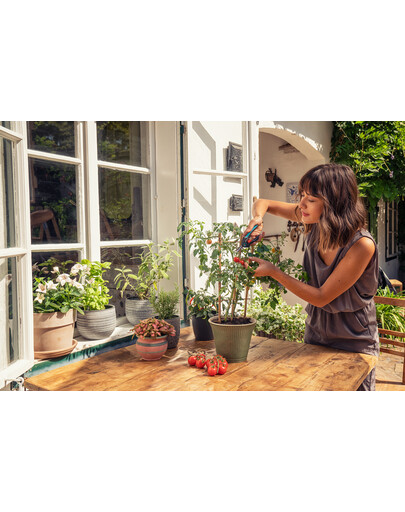 GARDENA Ciseaux à herbes et légumes FreshCut