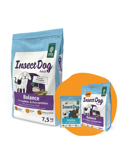GREEN PETFOOD InsectDog Balance 7,5kg + 900g & Denties GRATUITS