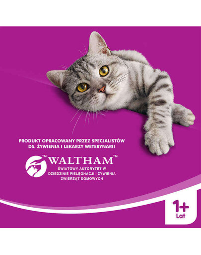 WHISKAS Adult - Nourriture sèche complète pour chats adultes avec du poulet - 7 kg
