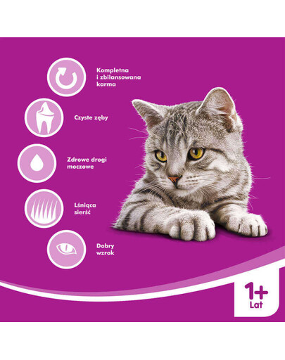 WHISKAS Adult - Nourriture sèche complète pour chats adultes avec du poulet - 7 kg