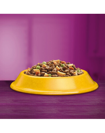 WHISKAS Adult - nourriture sèche complète avec du poulet délicieux pour les chats adultes - 6x300 g