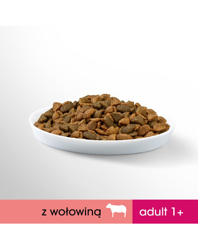 PERFECT FIT Cat 6x750 g Adult beef multi croquettes au boeuf pour chats