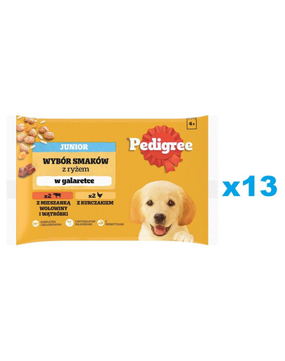 PEDIGREE Junior Choice of flavours with rice sachet 52x100g nourriture humide pour chiots en gelée avec du poulet et du bœuf