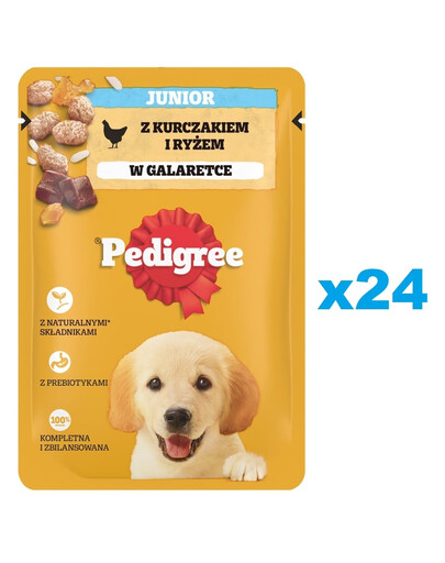 PEDIGREE Junior sachet 24x100g nourriture humide pour chiots en morceaux gélifiés riche en poulet