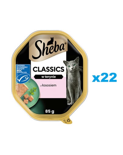SHEBA Classics tray 22x85g nourriture complète humide pour chats adultes avec saumon en terrine