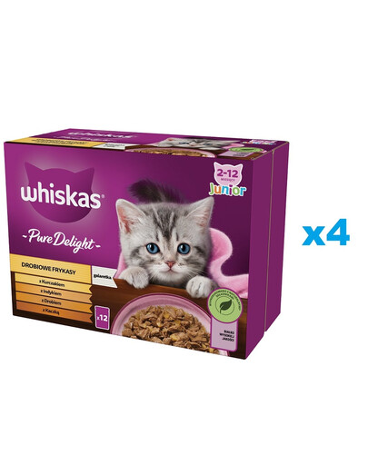 WHISKAS Junior sachet 48x85g nourriture humide pour chat en gelée avec : poulet, dinde, volaille, canard