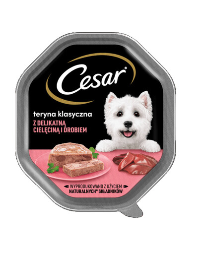 CESAR barquette 150 g nourriture humide complète pour chiens adultes terrine avec du veau tendre et de la volaille