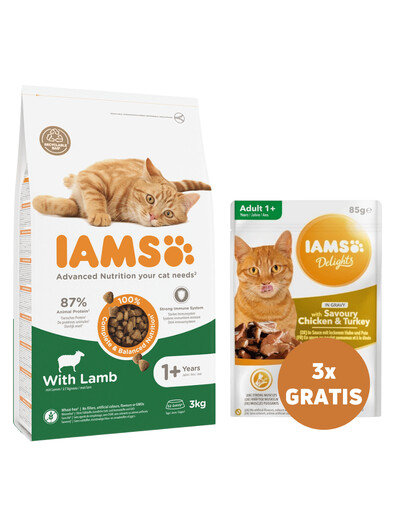 IAMS for Vitality Croquettes pour chats adultes à l'agneau 3 kg + 3 x poulet et dinde en sauce 85 g GRATUIT