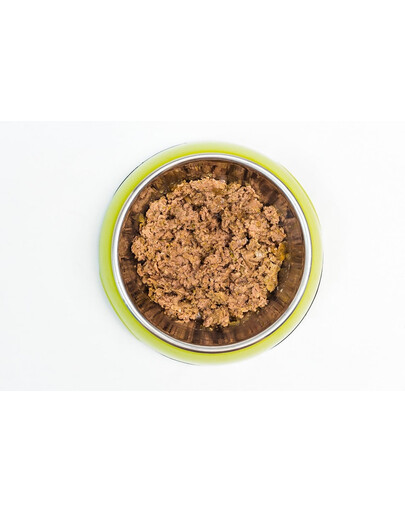 ARUBA Dog Organic Gęś, brokuły, jagody i topinambur 100 g