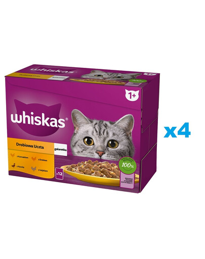 WHISKAS Adult sachet 48x85g Poultry Feast nourriture humide pour chat en gelée avec : poulet, canard, volaille, dinde