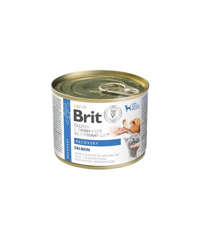 BRIT Veterinary Diet Grain Free Recovery 200 g saumon et foie de poulet pour chien et chat en période de convalescence