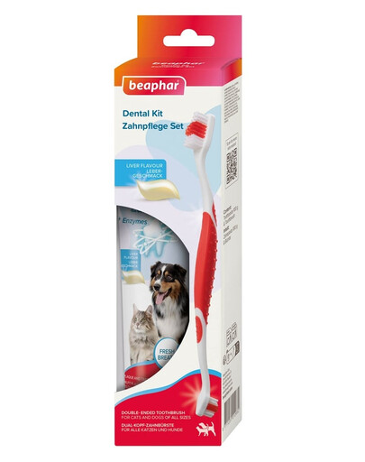 BEAPHAR Dental Kit brosse à dents et dentifrice pour chiens et chats
