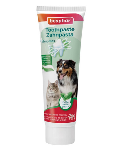 BEAPHAR Dentifrice Menthe et Persil 100 g dentifrice au goût de menthe et de persil pour chiens et chats