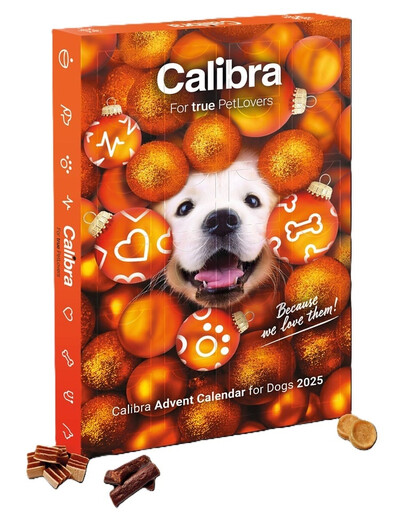 CALIBRA Calendrier de l'Avent avec des friandises à base de viande pour chiens