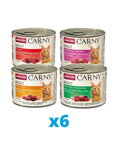 ANIMONDA Carny mix smaków 24 x 200 g