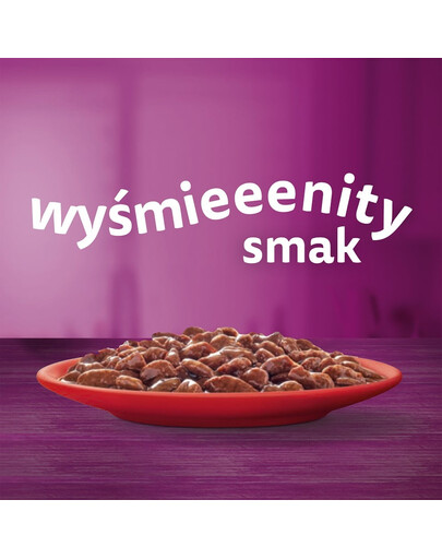 Klasyczne Posiłki mokra karma pełnoporcjowa dla dorosłych kotów w sosie 40x85 g