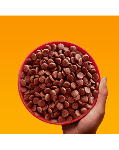 PEDIGREE Professional Nutrition Adult Mini au Bœuf et Légumes 12 kg pour chiens de petites races