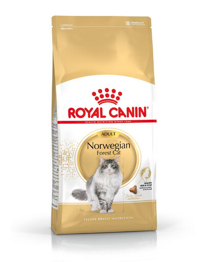 ROYAL CANIN Norvegian 2x2 kg, croquettes pour chats adultes de race norvégien des forêts