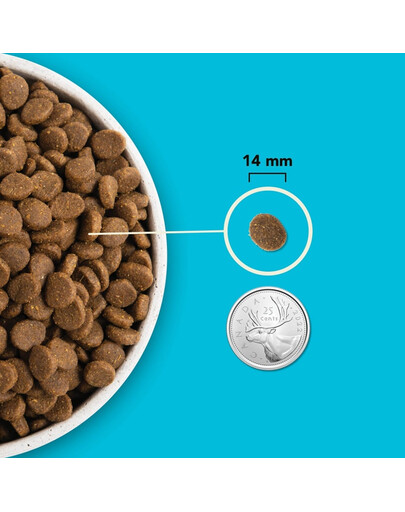 ACANA Pacifica Dog 6 kg