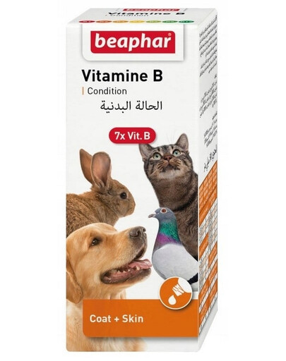 BEAPHAR Vitamin B Complex Ensemble de Vitamines B 50 ml