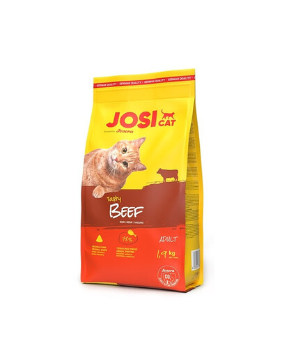 JOSERA JosiCat Tasty Beef 2x1,9 kg avec du bœuf pour chats adultes