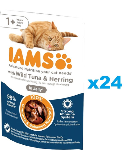 IAMS Cat Adult All Breeds Tuna & Herring In Jelly tuńczyk i śledź w galaretce 24x85g