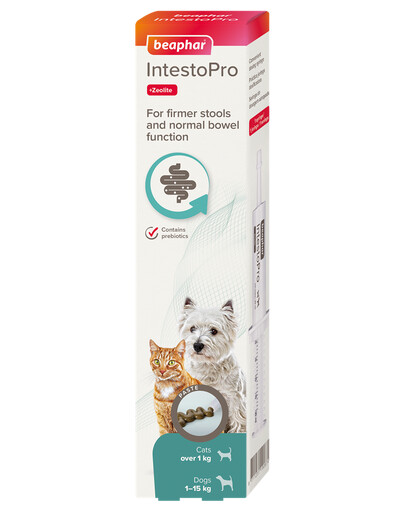 BEAPHAR IntestoPro pâte pour chien/chat 20 ml