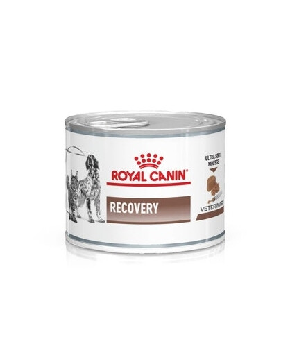ROYAL CANIN Vet dog/cat recovery: aliments humides pour chiens et chats en période de soins intensifs et après une intervention chirurgicale, pendant la convalescence 24 x 195 g