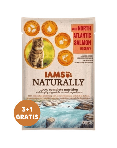 IAMS Naturally Adult Cat with North Atlantic Salmon in Gravy 3 x 85 g + 1 GRATIUIT