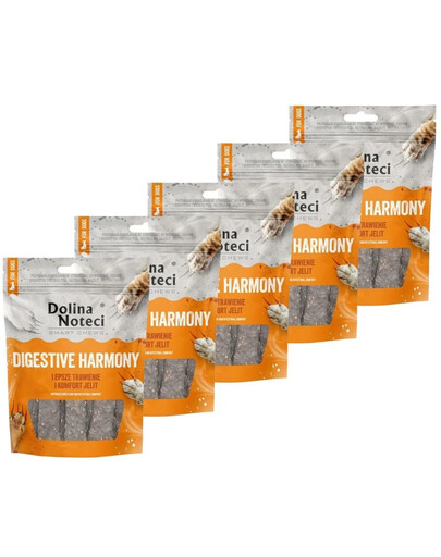 DOLINA NOTECI Smart Chews Digestive Harmony 5x100g soutien à la digestion, friandises séchées pour chien