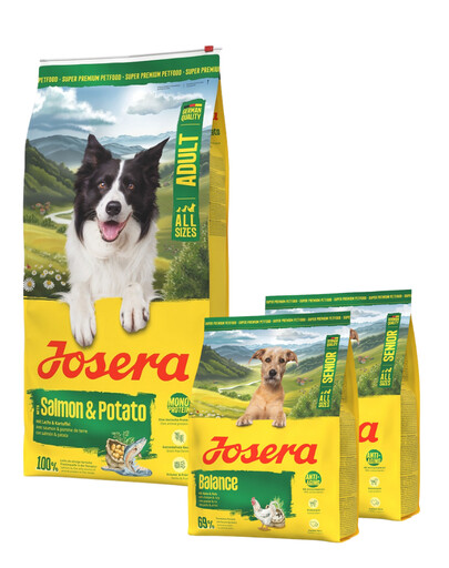 JOSERA Salmon & Potato Adult 12,5 kg pour chiens sensibles, recette sans céréales + 2×900 g de croquettes offertes