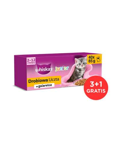 WHISKAS Junior Festin de volaille pâtée au poulet, à la canard, à la volaille et à la dinde en gelée pour chatons 120 x 85 g + 40 sachets GRATUITS