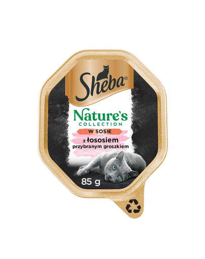 SHEBA Nourriture humide pour chat au saumon, en barquette de 22 x 85 g – OFFRE SPÉCIALE