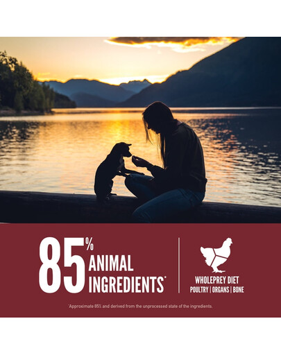 Small Breed Dog 1,8 kg