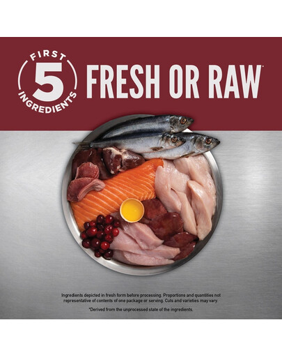 Small Breed Dog 1,8 kg