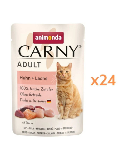 ANIMONDA Carny Adult Pouch Poulet et saumon nourriture humide pour chats 24x85g