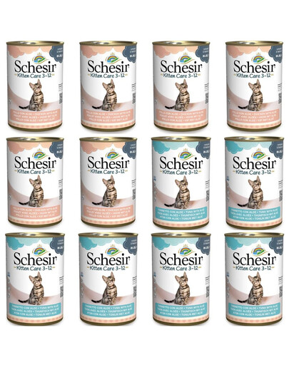 SCHESIR Kitten Care 3-12, assortiment thon et poulet à l'aloès en gelée, 12 x 140 g