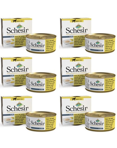 SCHESIR Fruit Poulet avec ananas 6×150 g