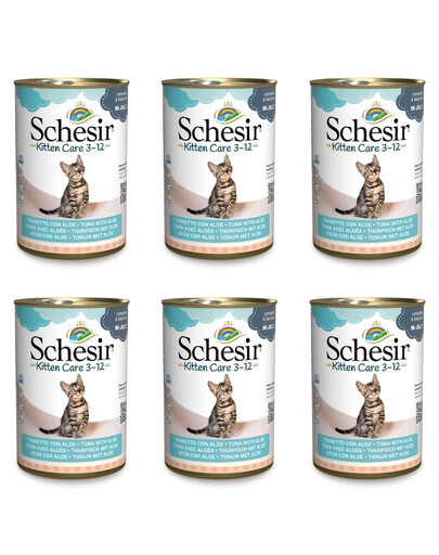 SCHESIR Thon à l'aloe vera pour les chatons 6x140 g