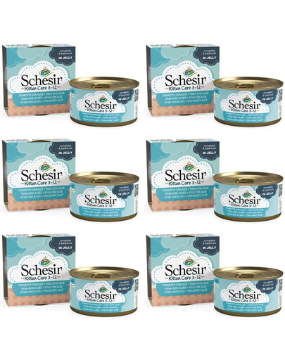 SCHESIR Thon à l'aloe vera pour les chatons 6x85g