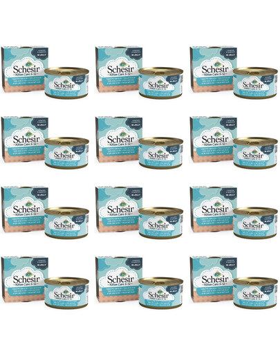 SCHESIR Thon à l'aloe vera pour les chatons 12x85g