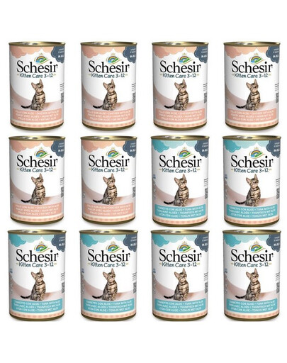 SCHESIR Kitten Care 3-12 Thon et poulet à l’aloe vera en gelée pour chats 12×140 g